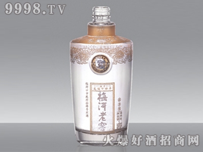 Ӣƿ÷ϽJPJ-016-500ml